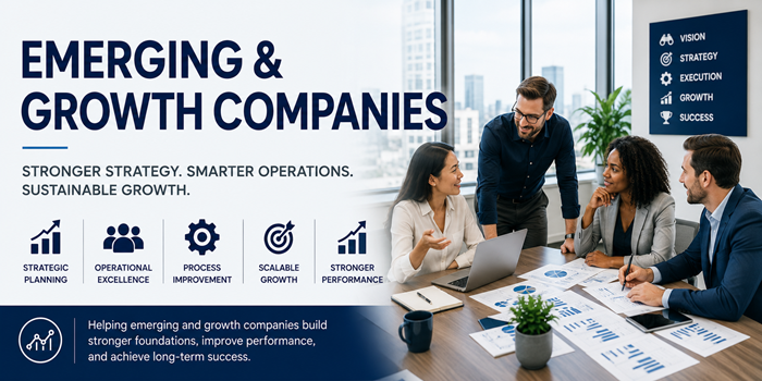 Emerging and growth companies industry consulting focused on strategic planning, operational excellence, process improvement, scalable growth, organizational effectiveness, and long-term business performance.