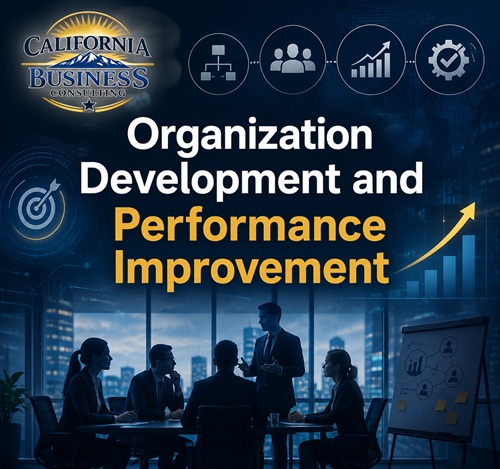 organizational development and performance improvement